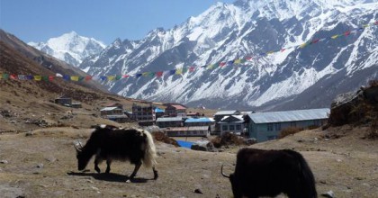 langtang-gosaikunda-helambu-trek